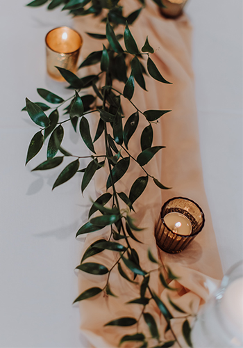 michigan-wedding-recor-rentals-event-venue