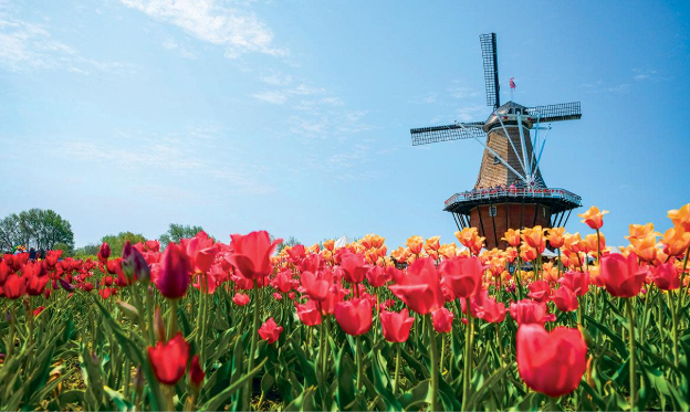 What to Do in Holland, Michigan During Tulip Time
